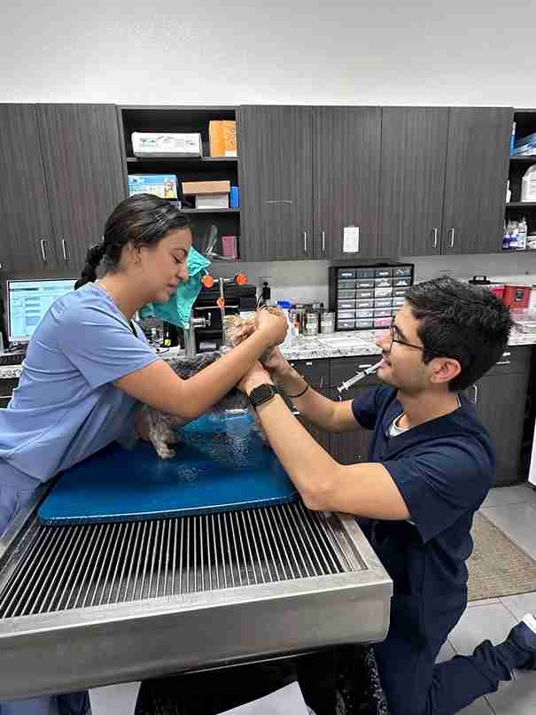 Newsletter February-2025