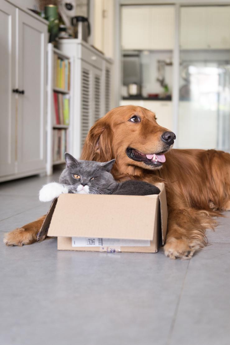 Newsletter August-2025